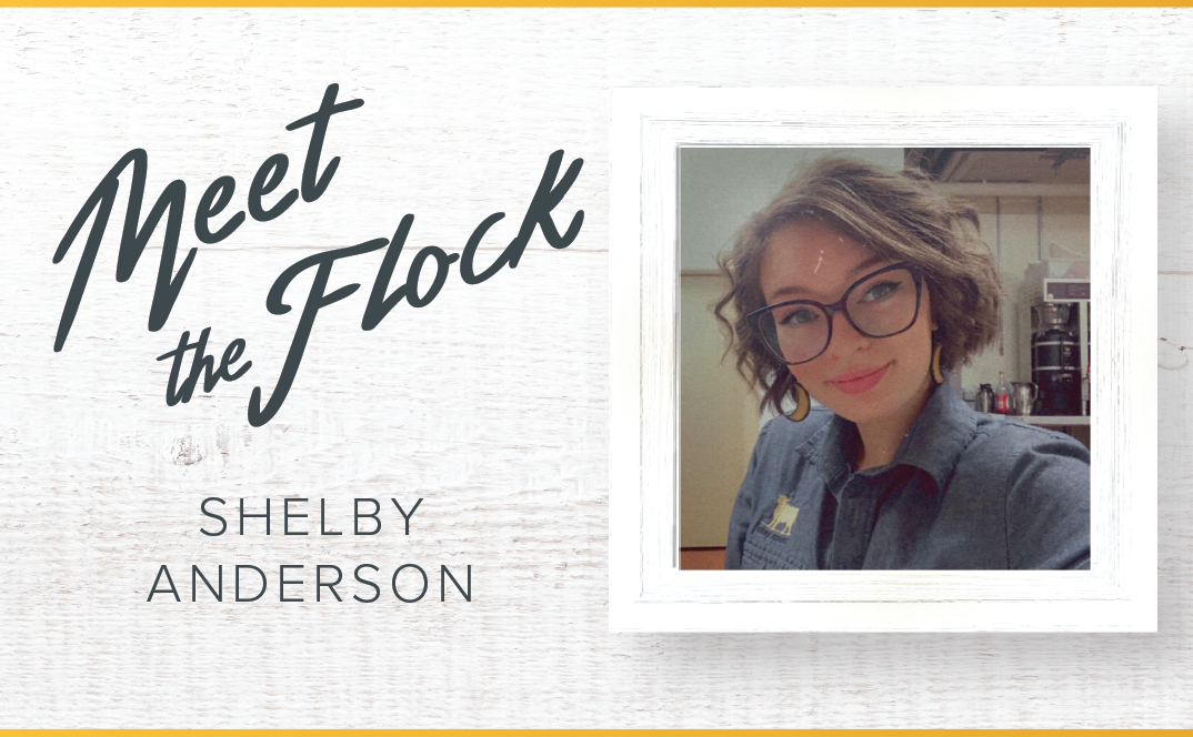 meet the flock: shelby anderson